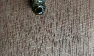 钻石抛光机 钻石抛光机