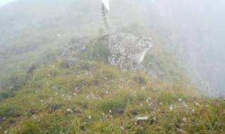 四川自然保护区