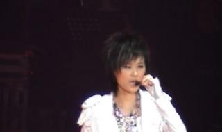 2007世界巡回演唱会 2007世界巡回演唱会