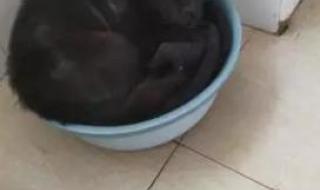 宝贝对不起不是不爱你 宝贝对不起不是不爱你