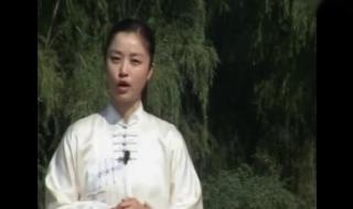 42式太极拳分解教学 42式太极拳分解教学